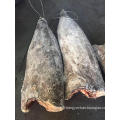 Frozen oilfish 6kg up